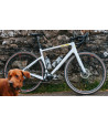 Cervelo Aspero Rival XPLR AXS 1 Gravelbike Cervelo - 2