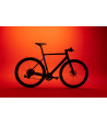 desiknio Endorphin X20 flat Carbon E-Bike desiknio - 4