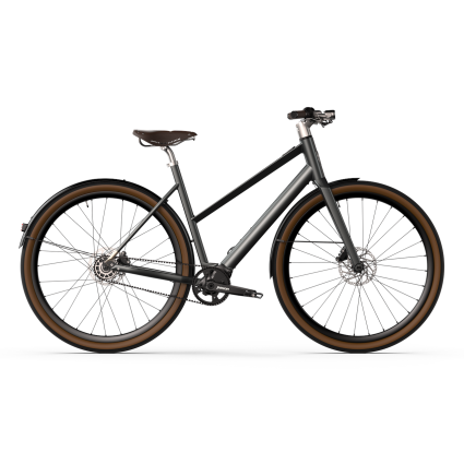 desiknio Serotonin X20 Pinion 1.9 Classic E-Bike desiknio - 3