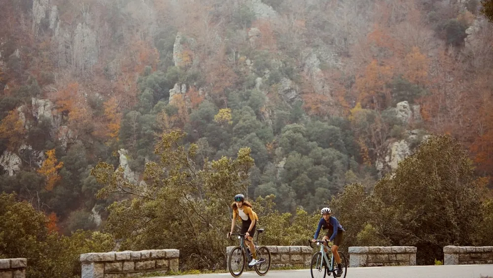 Cannondale Synapse — 8