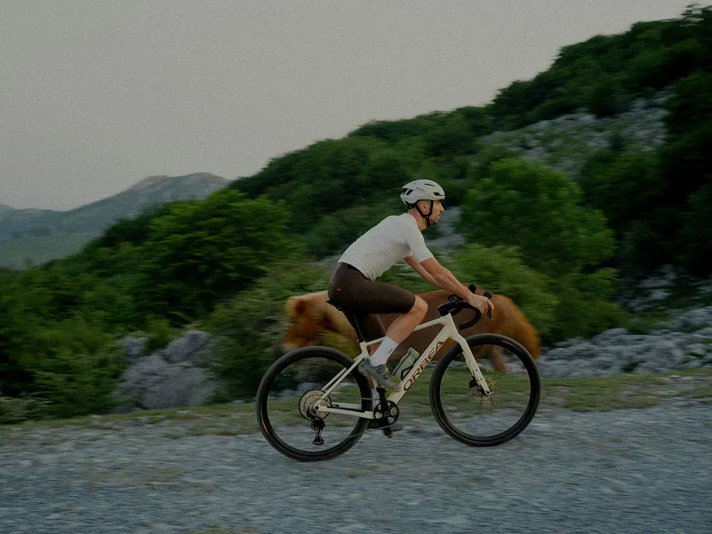 Orbea Terra H — 10