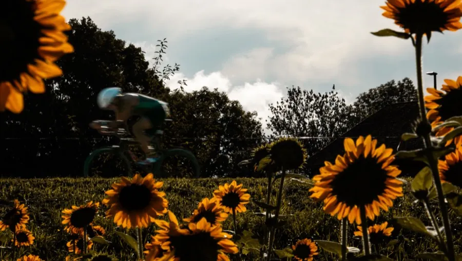 Gemeinsam am Start: Unsere Unterstützung beim Elbe Triathlon 2025